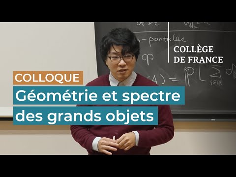 Géométrie et spectre des grands objets (2) - Nalini Anantharaman (2024-2025)
