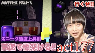 【マインクラフト】スニーク速度上昇Ⅲを付与したレギンスを履いてジ・エンドの浮島に高速で橋を架けて行くぜ!! エリトラを求めて【2022メリクリ】【セイハのセハクラ実況act177】