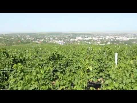 Husi - Orasul dintre vii [ www.HUSI.info ]