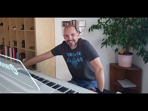 Goodbye My Love Goodbye (Demis Roussos) cover Wersi OAX 1000 Pergamon