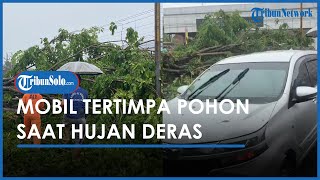 Buntut Hujan Deras Disertai Angin Kencang, Sebuah Mobil di Sukohajo Rusak Akibat Tertimpa Pohon