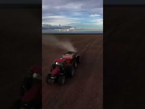 fazenda vereda Bahia