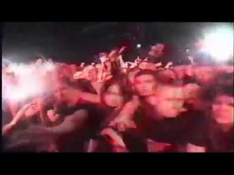 BONES – WhosThatInTheTree [FAN VERSION]