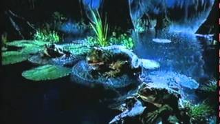 Budweiser Frogs Commercial