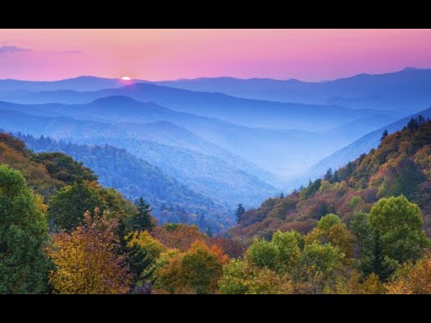 Katie P Steps 10 & 11 Austin TX  Appalachian Regional Roundup - Kingsport, TN  3/18/2023