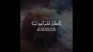 Download lagu Surah Al-Hujurat [Ayah 12]. mp3