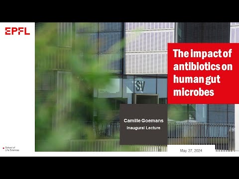 Camille Goemans: The impact of antibiotics on human gut microbes