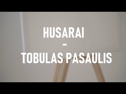 HUSARAI - Tobulas pasaulis