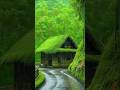 Barsaat Ke Din Aaye Status Video Shorts Rainsong Old Song