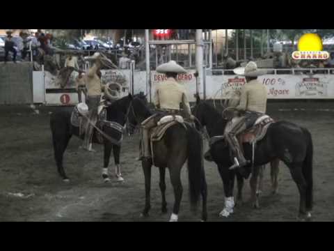 Campeón en Pial de Ruedo en la 1ra FASE de la Copa Berries Paradise