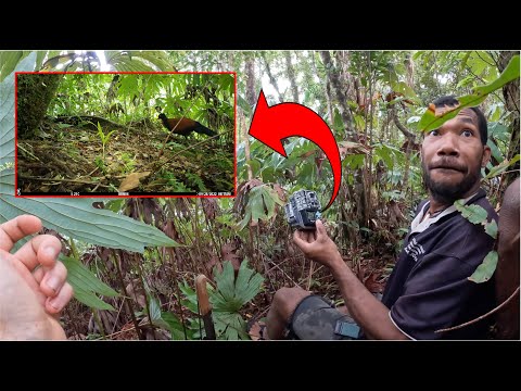 Finding Auwo: reacting to the first photo of this species!
