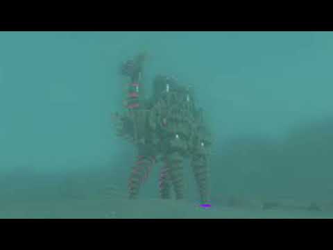 Vah Naboris 2 Terminals Active - Breath of the Wild (BoTW) Soundtrack