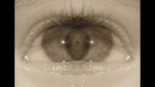 EN  EL  MISMO  TREN - Marco  A  Solis