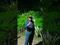 Phool Mangu Na Bahar Main To Mangu Bollywood Hindi Song Movie Video