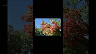 Download lagu 【2nd Solo Piano Album 発売のお知らせ】 #432hz #piano #jazz #CD発売 mp3