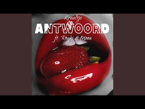 Antwoord (feat. Royki & Moon010)