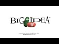 Big Idea Entertainment Logo 2002 Star Of Christmas