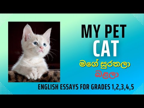 My pet (Cat) grade 1,2,3,4,5 English essay මගේ සුරතලා(පූසා)1,2,3,4,5 ශ්‍රේණි සඳහා ඉංග්‍රීසි රචනා