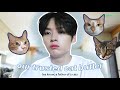 lee know is a cat butler (soonie, doongie and dori's dad)