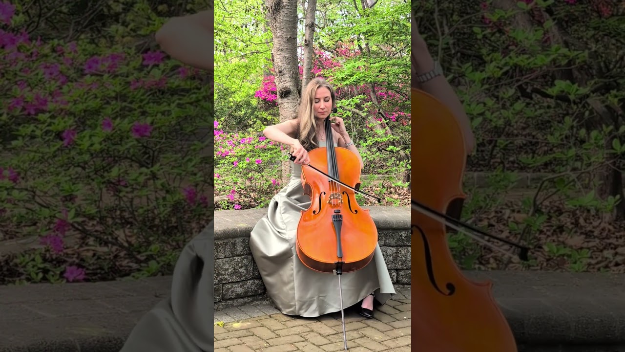 Promotional video thumbnail 1 for Celebration Strings