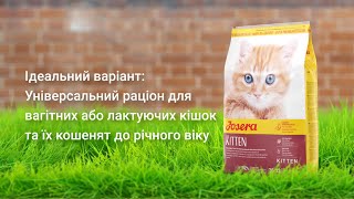 Josera (Йозера) Minette (Kitten) - корм для котят, беременных и кормящих кошек