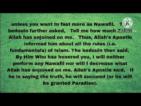 "The Bedouin Who Asked About Islam’s Duties | Powerful Hadith on Prayer, Fasting & Zakat"