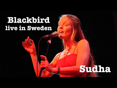 Blackbird performed live by Sudha,  Maneesh de Moor and Praful at the No Mind Festival 2004