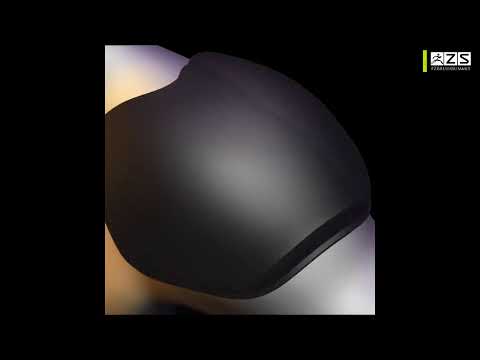 The ZBrush Summit - 2021