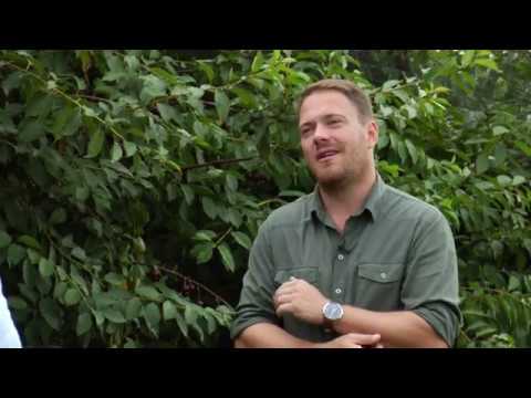 Reč struke ep.261 06.08.2019. - Moderni sistemi za gajenje trešnje