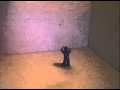 Hey Macarena Clay Man