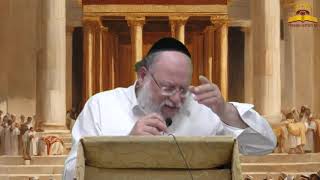 פרשת אחרי מות תשפ"ד - כל הפירושים על מיתת בני אהרן - הרב חזקיהו יוסף קרלנשטיין