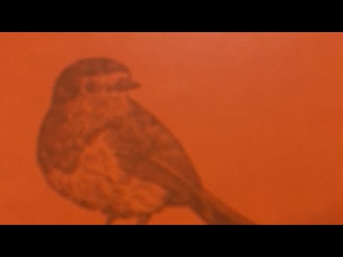 Thank God It’s Tuesday S1:E10