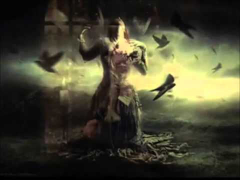 David Visan - Taste Of Joy CHILL OUT