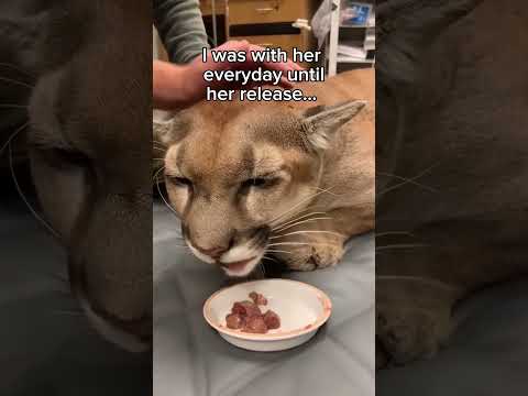 I guess we are even now #wholesome #animals