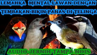Download lagu Tembakan mesin jahit & Roll tembak kasar menyatu jadi satu | tengkek, katem, cucak jeggot & jinjing mp3