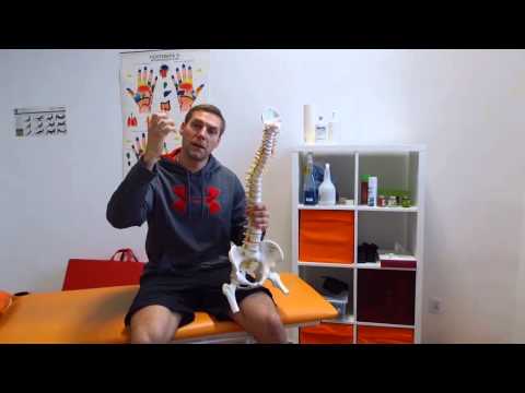 Ćwiczenia dla kobiet treningu siłowego Anatomia mięśnie rąk i nóg