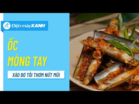 Cách làm Ốc móng tay xào bơ tỏi siêu ngon, thơm lừng, hấp dẫn • Vào bếp Điện máy XANH