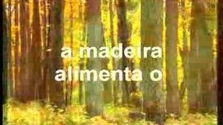 Teoria dos Cinco Elementos - parte 1