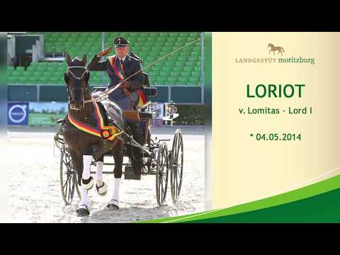 LORIOT v. Lomitas - Lord I