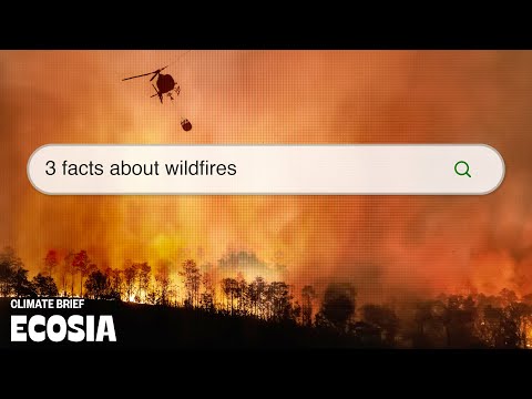 How wildfires start and how to prevent them