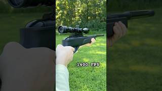 Gamo Big Cat Air Rifle!