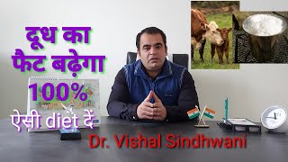 How to increase fat in milk of cow and buffalo|गाय, भैंस के दूध का फैट कैसे बढ़ाएं