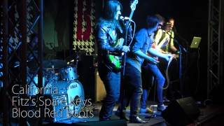Live Show Fitz's Spare Keys | California