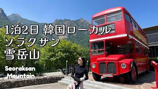 【ソラクサン完全ガイド】ソウル在住韓国人が選ぶ1泊2日モデルコース🏔️束草