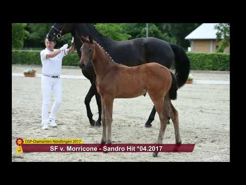 KN 56 Maricopa Sf v. Morricone - Sandro Hit