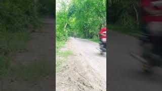 Download lagu CB HOLIDAY mp3