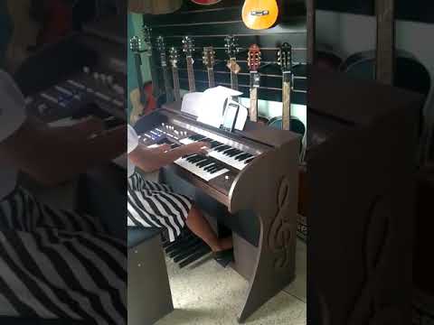 Orgão digital acordes 2d premium