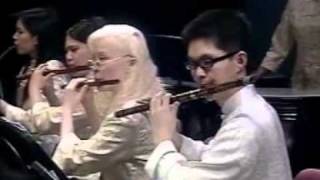 Traditional Chinese Orchestra - Dedu - NTDTV Lunar New Year Gala, Taiwan 2005