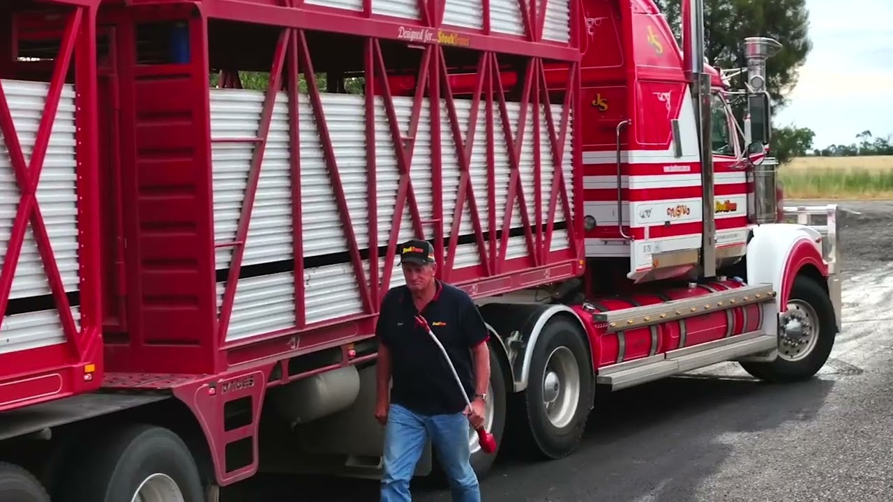 Complexities of livestock transport