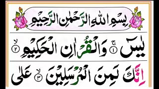 Download lagu 036.Surah Yaseen Pani Patti Voice | Arabic text HD | Surah Yaseen Full mp3 Download lagu 036.Surah Yaseen Pani Patti Voice | Arabic text HD | Surah Yaseen Full mp3